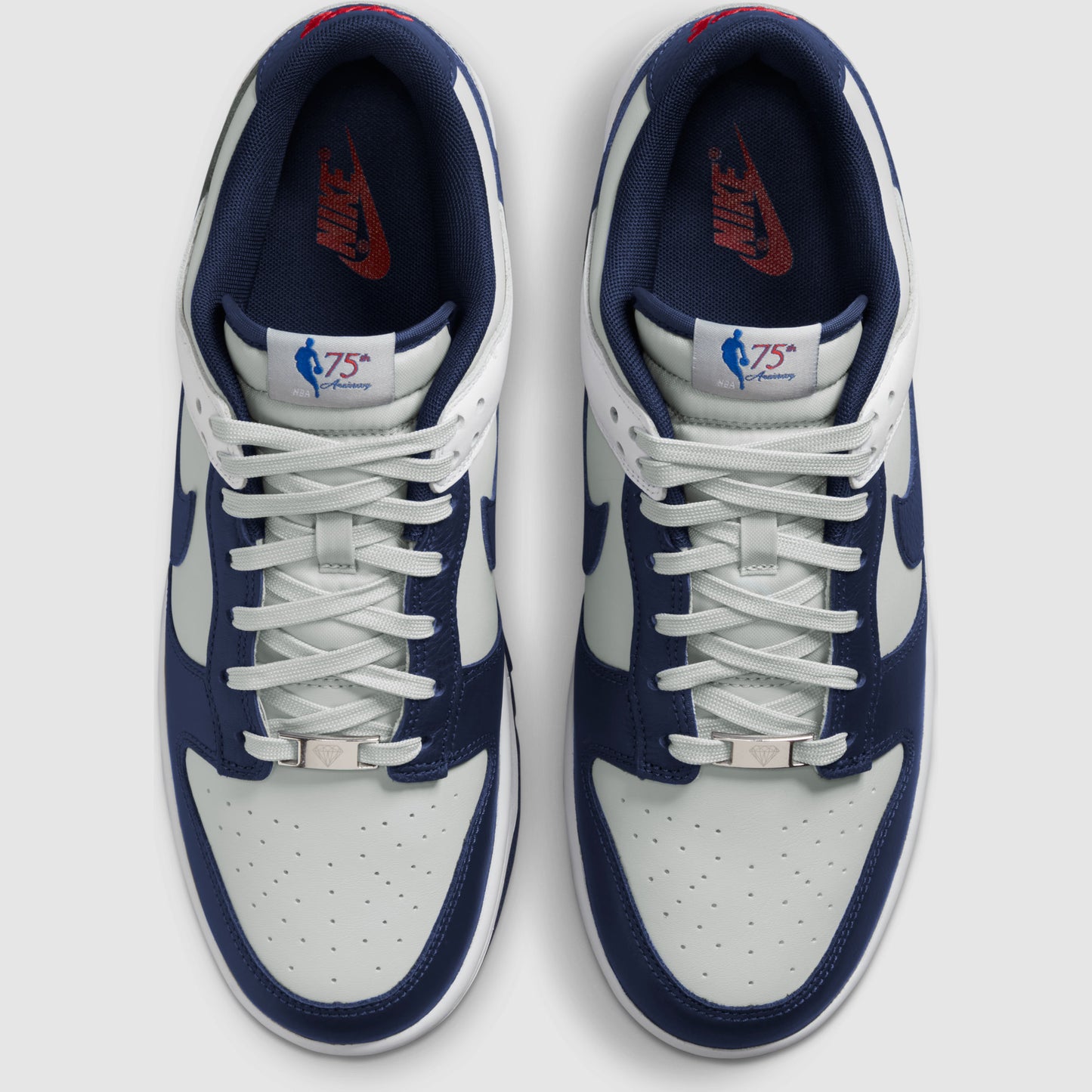 Nike Dunk Low EMB Blue Nets