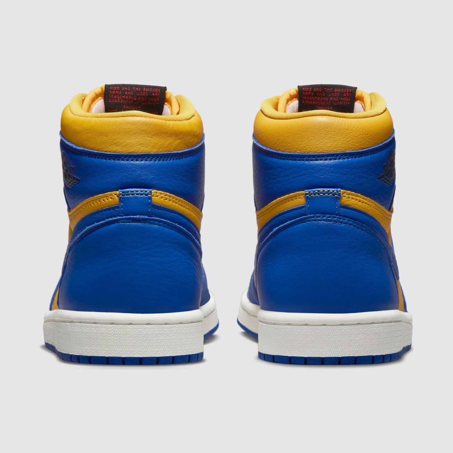 Air Jordan 1 Retro High OG Reverse Laney (W)